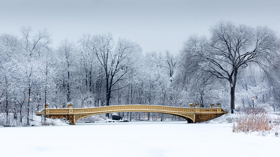 Architecture Photograph - Bow Bridge in Central Park NYC by Mihai Andritoiu