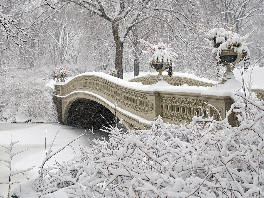 Bow Bridge in Winter Photograph by Cornelis Verwaal
