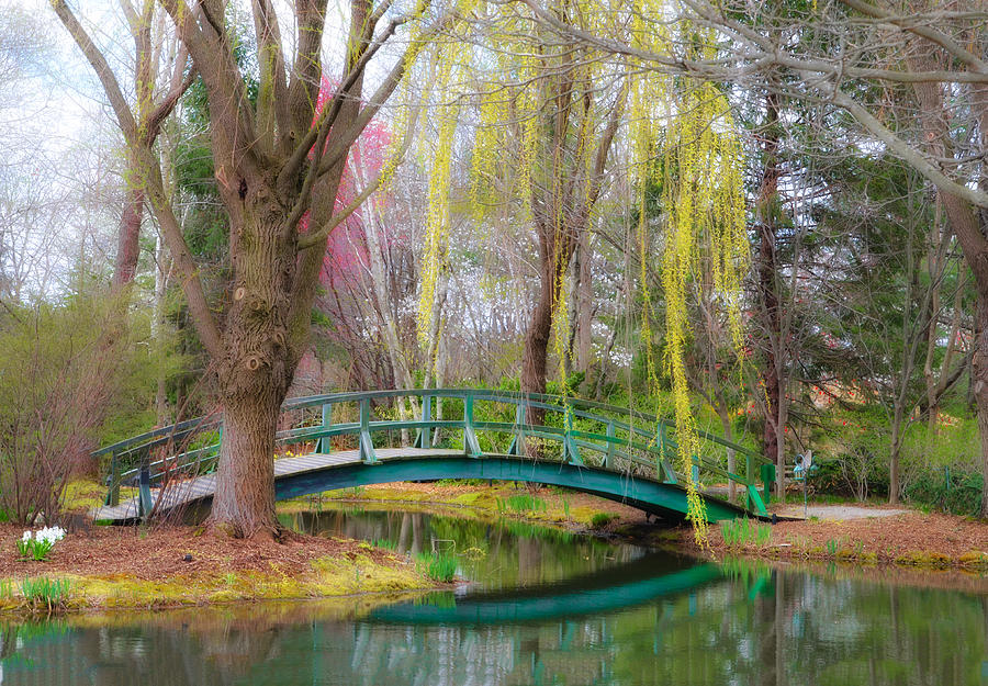Spring Photograph - Bow Bridge under the Willow by Bill Cannon