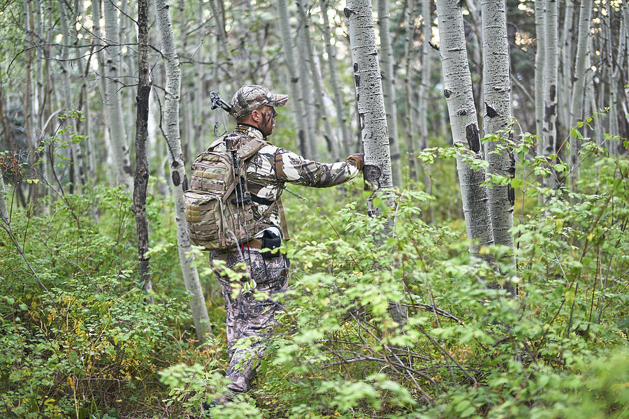 Nature Photograph - Bow Hunting For Deer In Pagosa Springs by Terry Schmidbauer