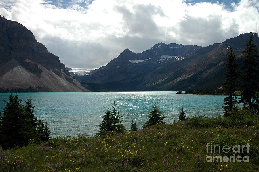 1021A Bow Lake Alberta Photograph by NightVisions