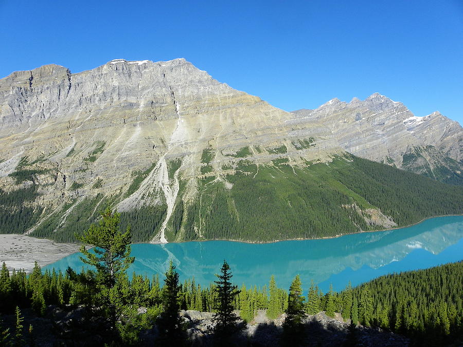 Peyto Lake Photograph by Georgia Hamlin - Fine Art America