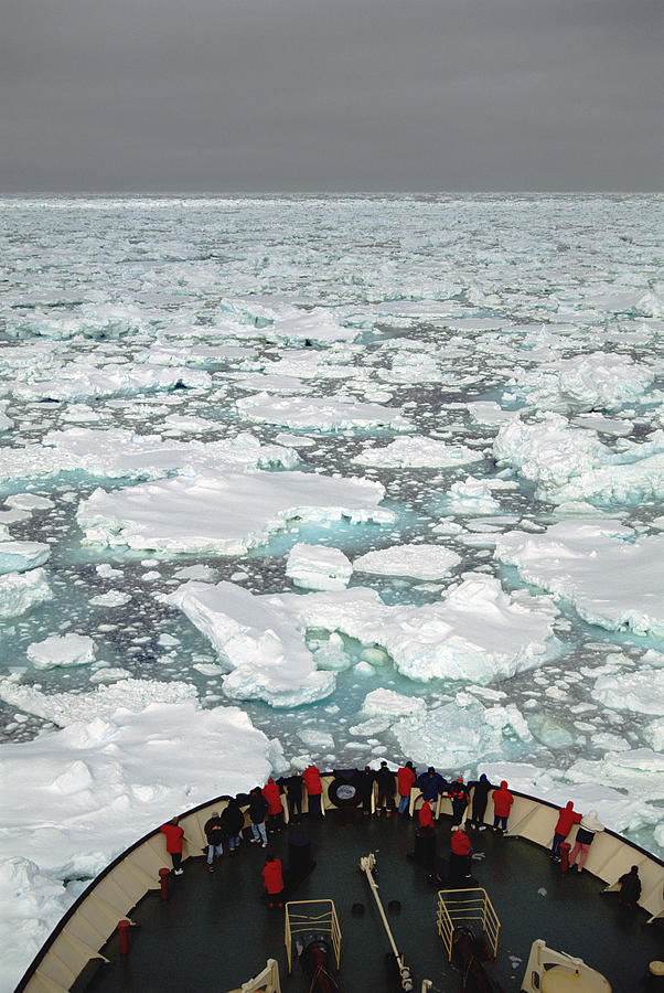 Bow Of Russian Icebreaker Ross Sea Photograph by Tui De Roy