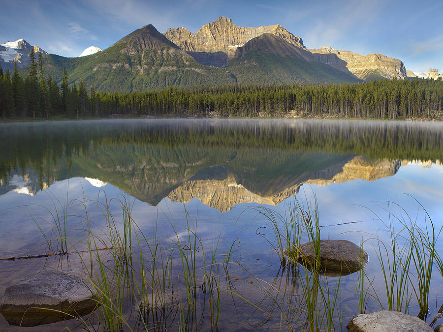 Bow Range and Herbert Lake Banff Photograph by Tim Fitzharris