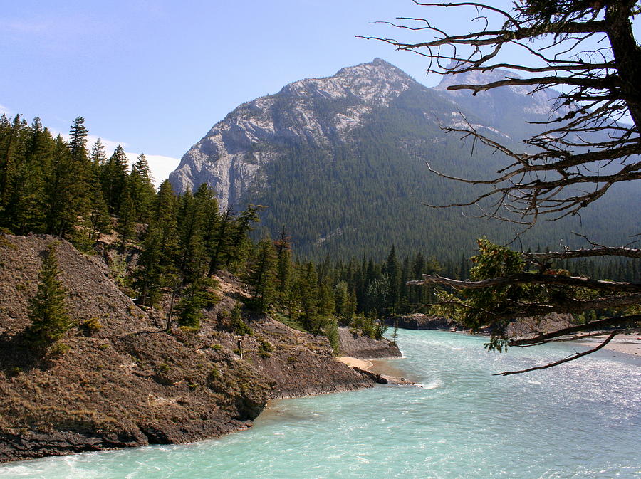 Bow River 2 Photograph by Betty-Anne McDonald