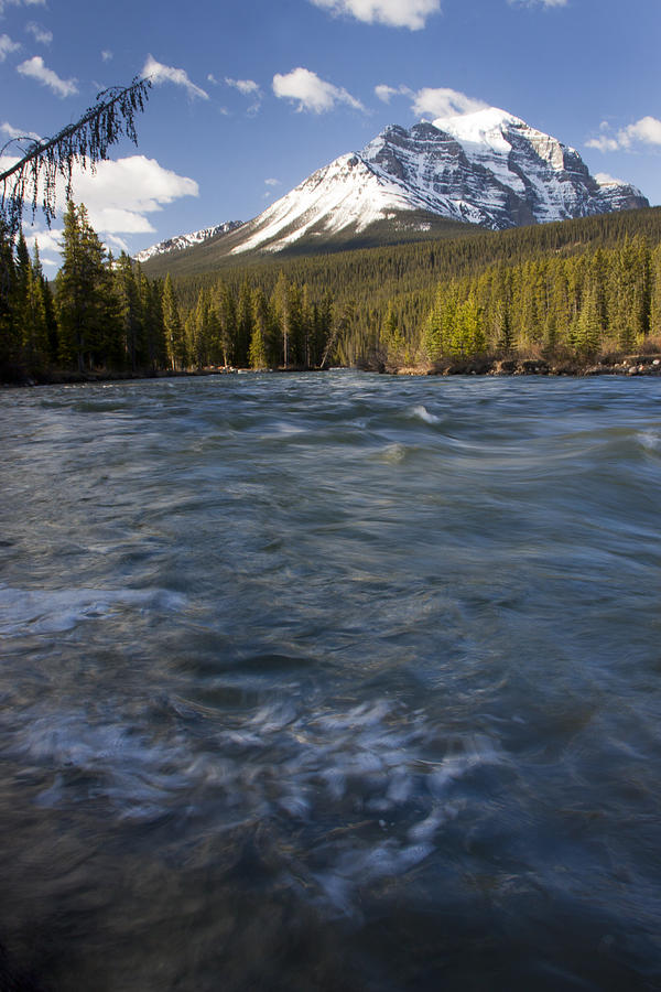 Bow River at Lake Louise Photograph by Tony Mills