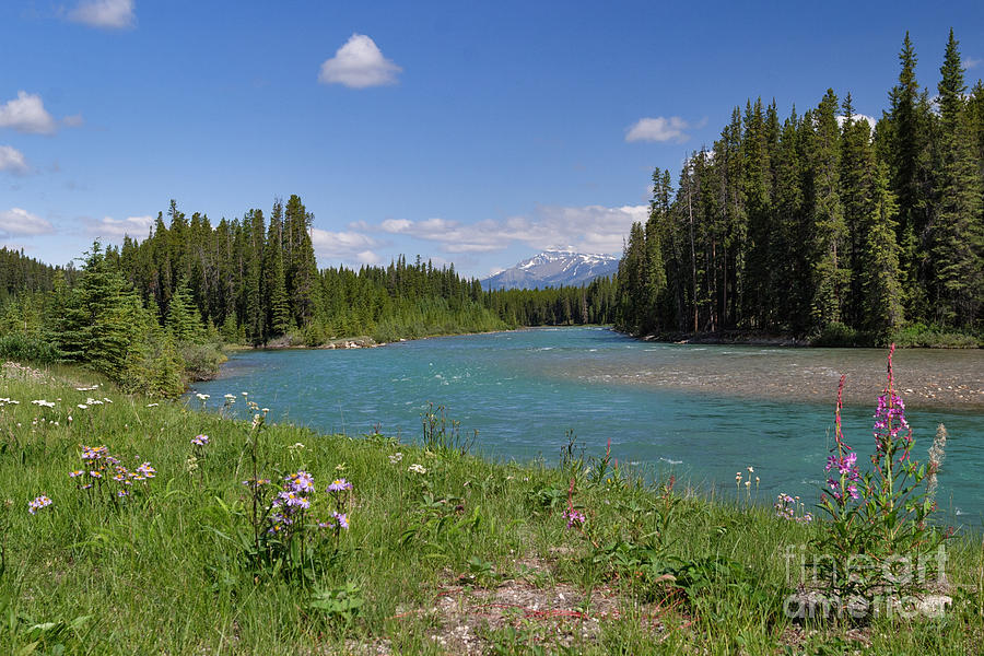 Banff National Park Photograph - Bow River Flats by Charles Kozierok
