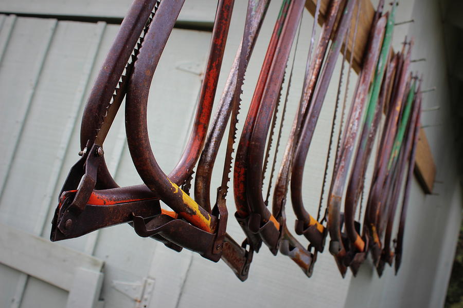 Saw Photograph - Bow Saws by Beth Vincent