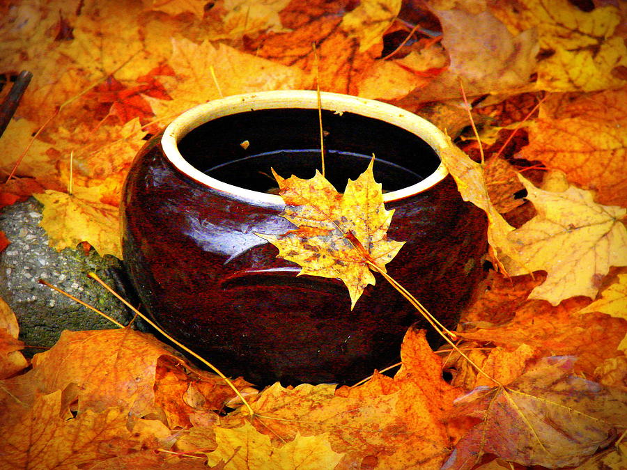 Bowl And Leaves Photograph
