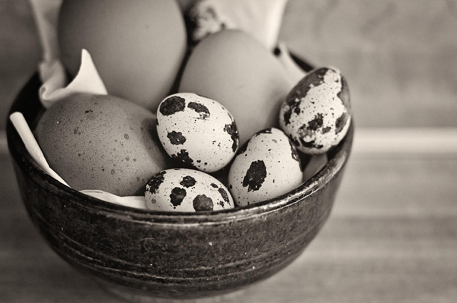 Bowl of Eggs BW Photograph by Heather Applegate