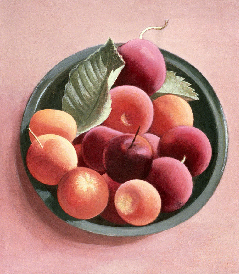 Fruit Painting - Bowl of Fruit by Tomar Levine