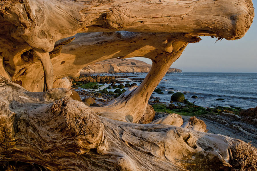 Sunset Photograph - Bowling Ball Beach Framed in Driftwood by Her Arts Desire