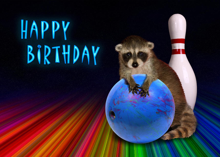 Nature Photograph - Bowling Birthday Raccoon by Jeanette K