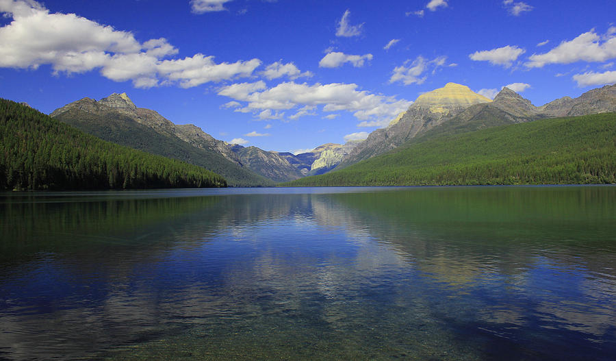 Bowman Lake Montana Photograph by Kathleen Scanlan