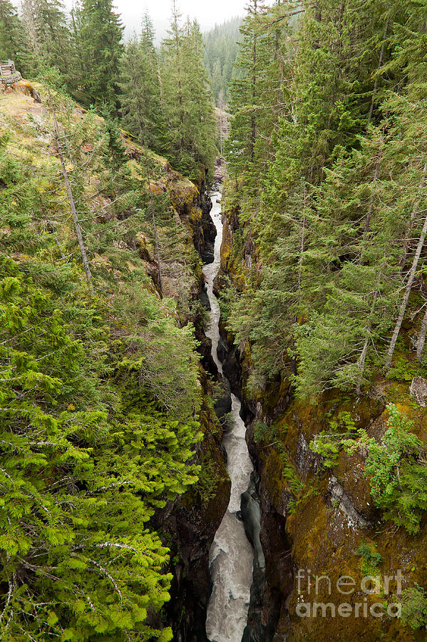 Box Canyon Mt Rainier National Park Photograph By John Gaffen   Box Canyon Mt Rainier National Park John Gaffen 