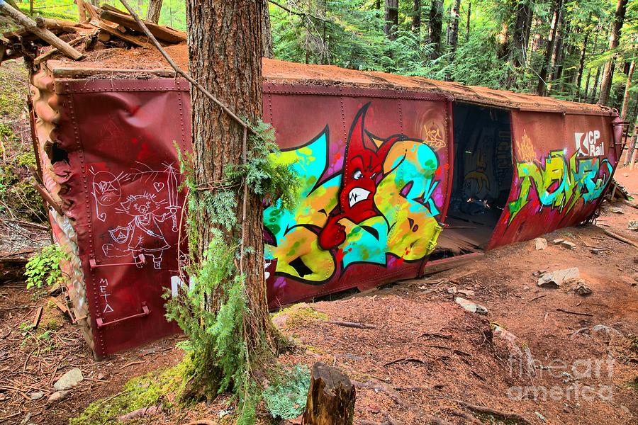 Box Car In The Woods - British Columbia Photograph by Adam Jewell