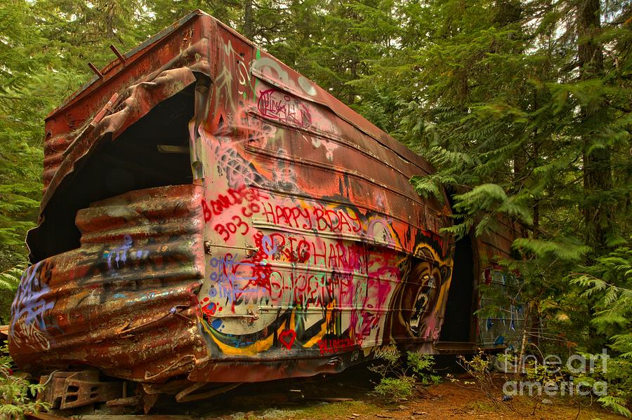 Box Car Train Wreck In British Columbia Photograph by Adam Jewell