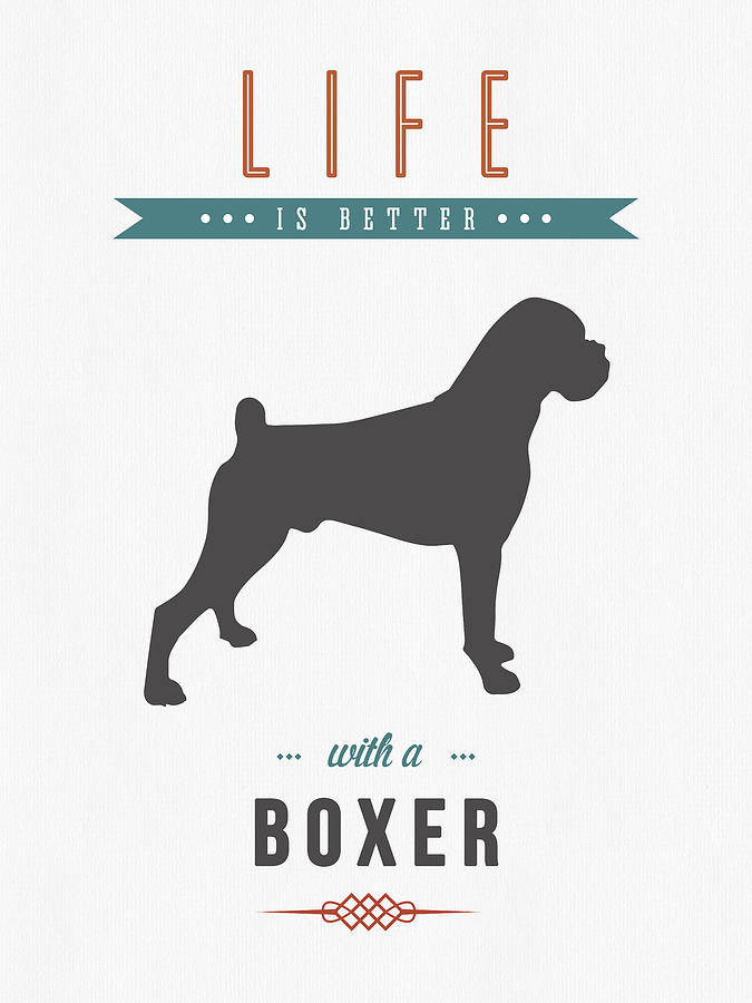 Dog Digital Art - Boxer 01 by Aged Pixel