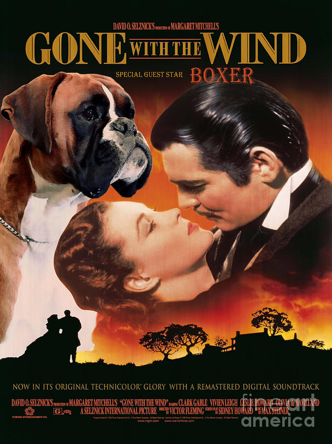 Boxer Dog Art Canvas Print - Gone with the Wind Movie Poster Painting by Sandra Sij