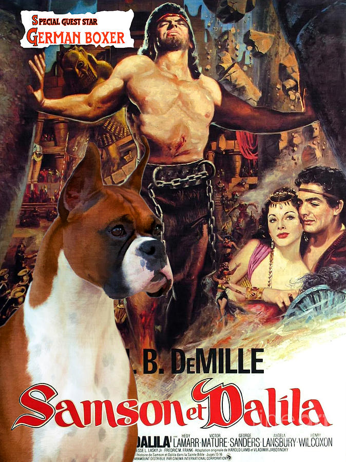 Dog Painting - Boxer Dog Art Canvas Print - Samson and Delilah Movie Poster by Sandra Sij