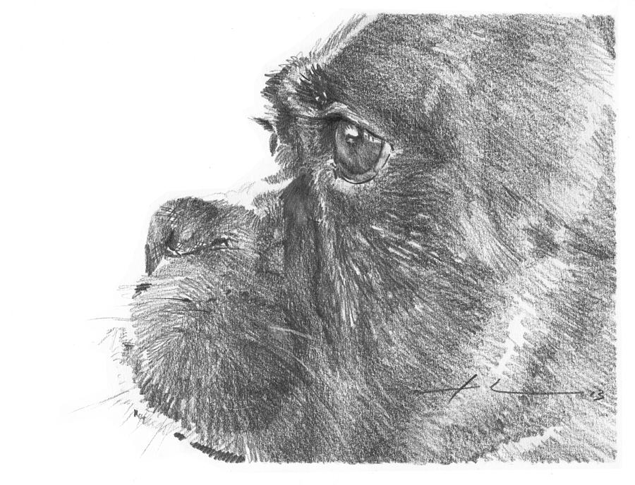 Boxer Dog Closeup Pencil Portrait Drawing by Mike Theuer Boxer Dog Closeup Pencil Portrait Drawing by Mike Theuer