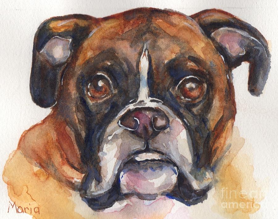 Boxer Dog watercolor Painting by Maria Reichert