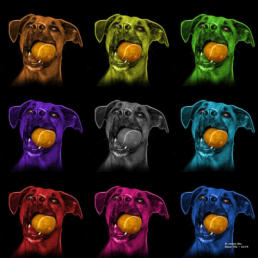 Boxer Mix Dog Art - 8173 - BB - M Digital Art by James Ahn