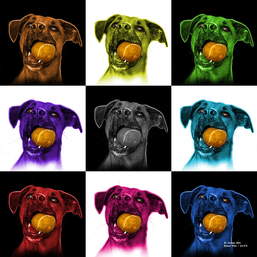 Boxer Mix Dog Art - 8173 - V1 - M Digital Art by James Ahn