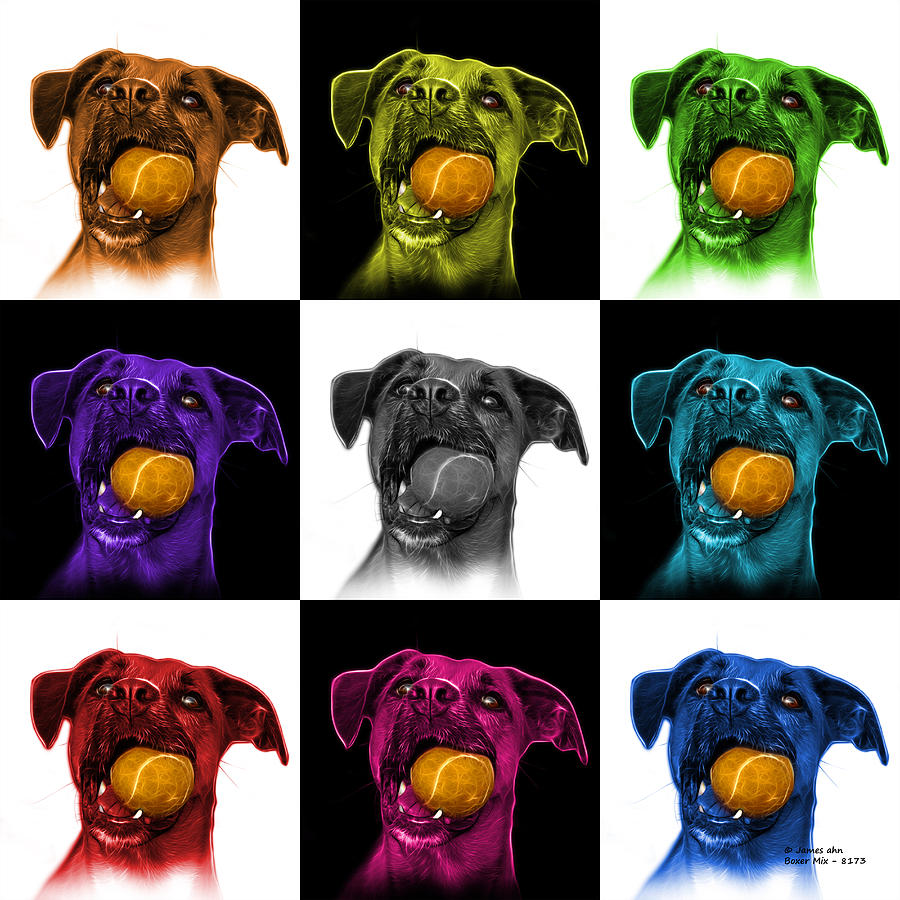 Boxer Mix Dog Art - 8173 - V2 - M Mixed Media by James Ahn