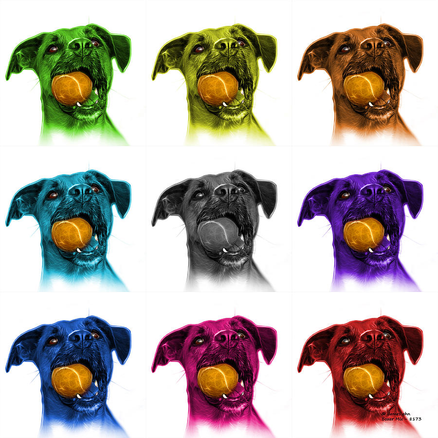 Boxer Mix Dog Art - 8173 - WB - M Digital Art by James Ahn