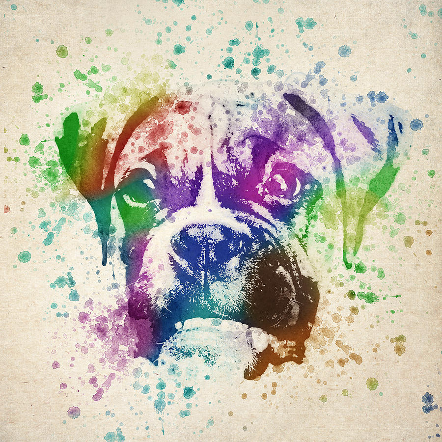 Dog Digital Art - Boxer Splash by Aged Pixel