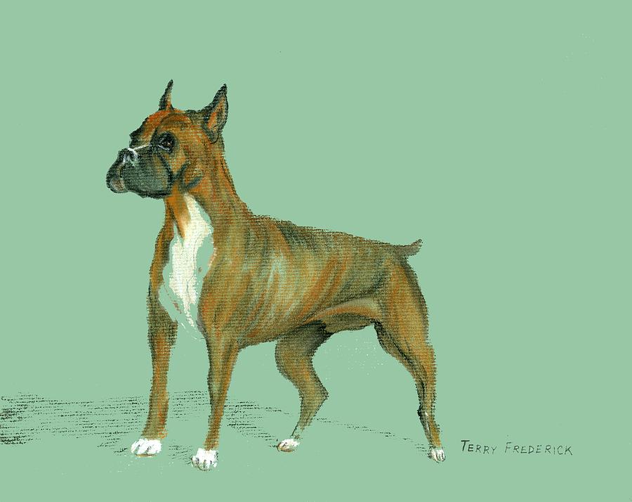 Boxer Pastel by Terry Frederick