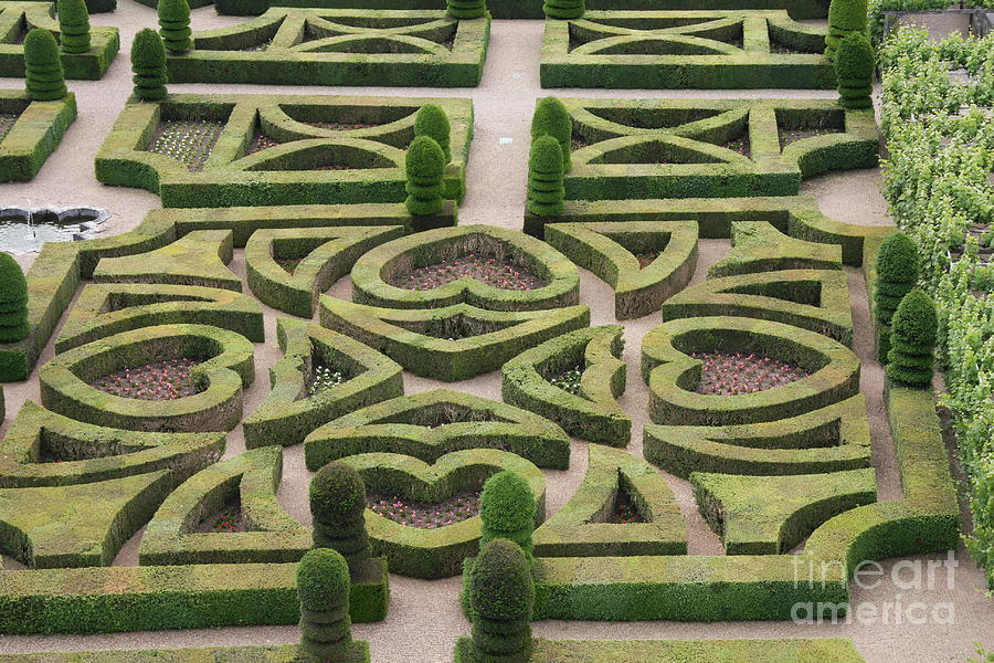 Flower Photograph - Boxwood Garden - Chateau Villandry by Christiane Schulze Art And Photography