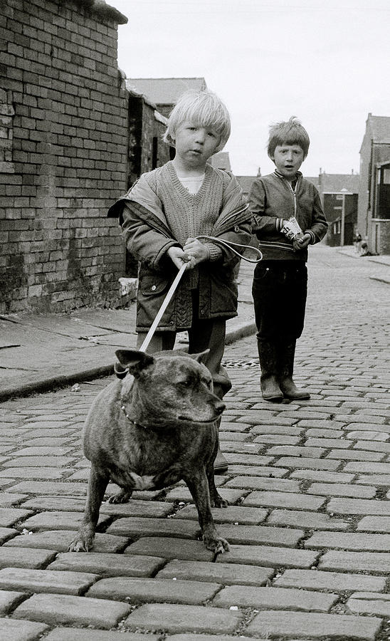 Dog Photograph - Boyhood by Shaun Higson