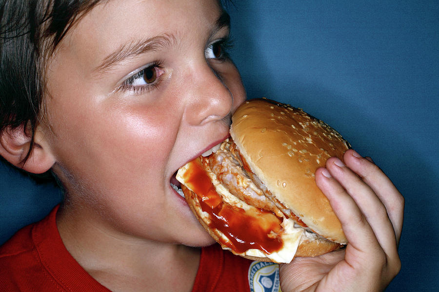 Bread Photograph - Boy Eating Cheeseburger by Mauro Fermariello/science Photo Library