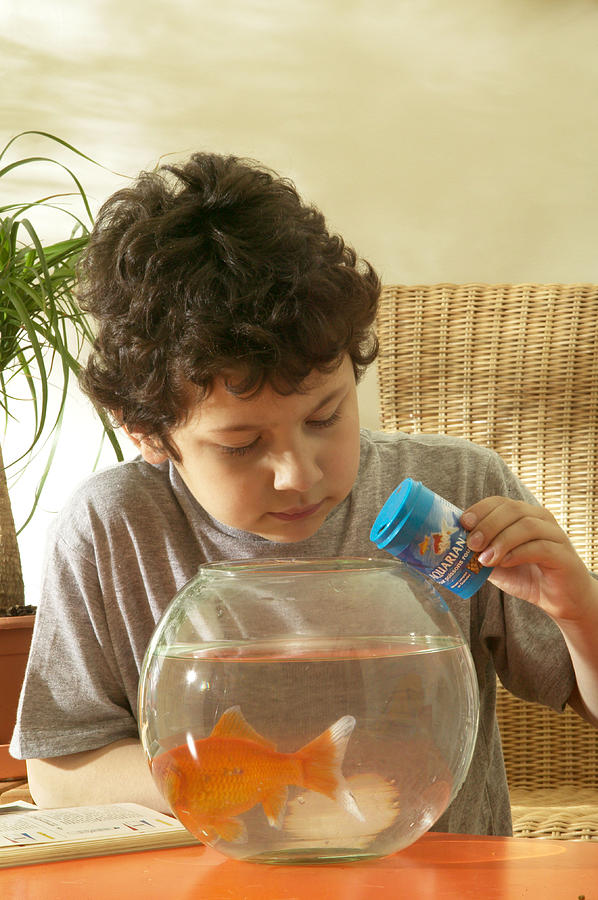 Goldfish Photograph - Boy Feeding Goldfish by Jean-Michel Labat