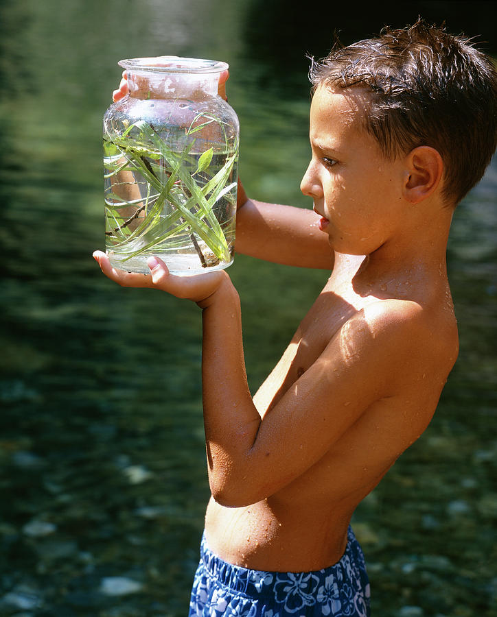 Boy Holding Jar Of Pond Water Photograph by Mauro Fermariello/science Photo Library