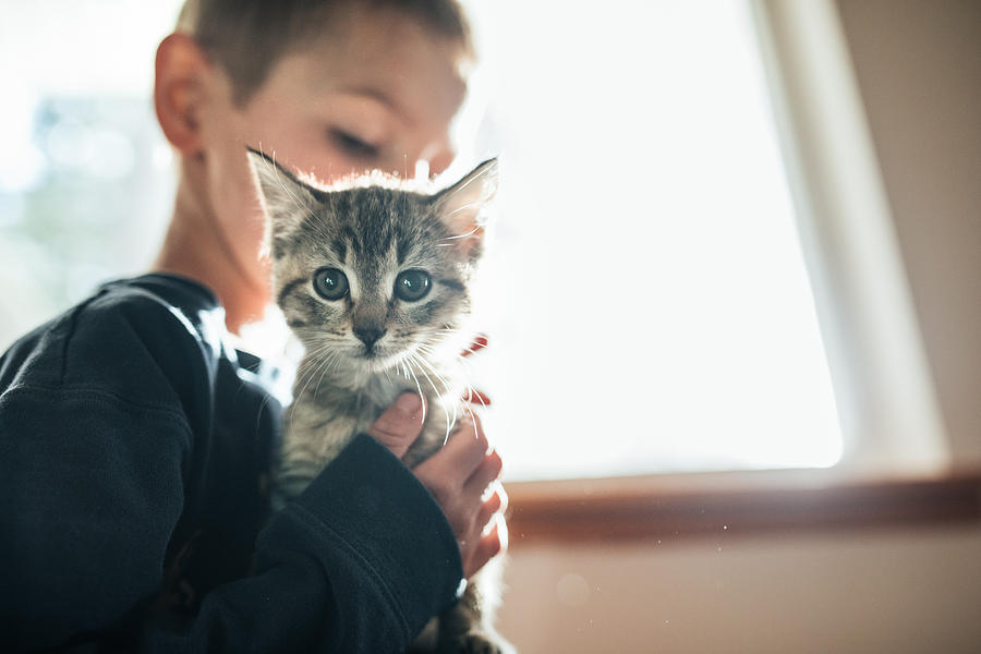 Boy Hugging Kitten Photograph by RyanJLane