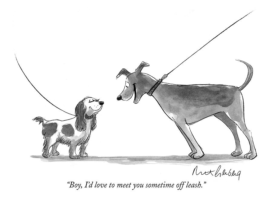 Leashes Drawing - Boy, Id Love To Meet You Sometime Off Leash by Mort Gerberg
