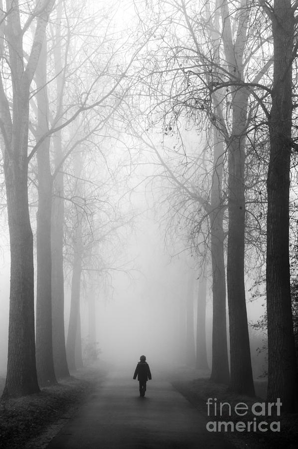 Boy in the Fog Photograph by David Lichtneker