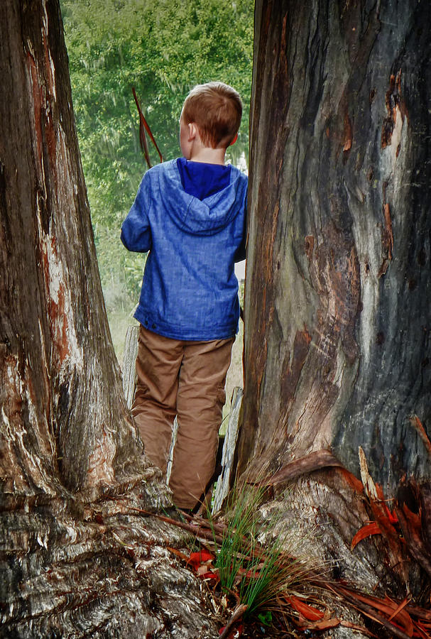 Boy in the Woods Photograph by Jessica Levant