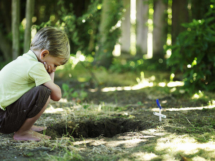 Boy looking into grave of pet. Photograph by Ryan McVay