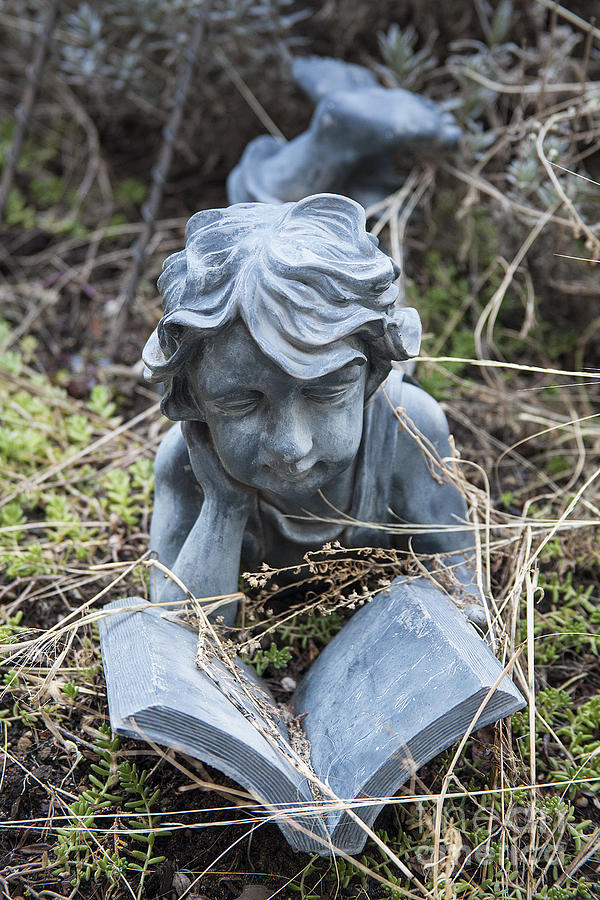 Boy Reading In Garden Statue Photograph by Jerry Cowart