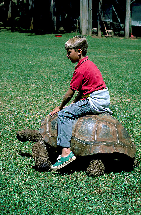 Boy Rides a Tortoise in Kenya Photograph by Carl Purcell - Fine Art America