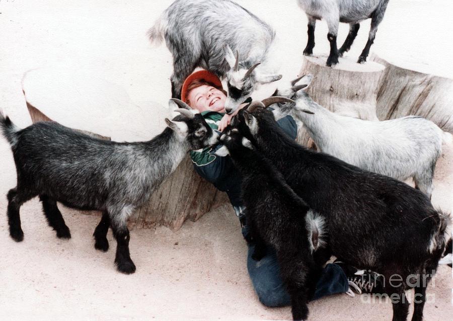 Goat Photograph - Boy Surrounded by Hungry Goats by Jim Fitzpatrick