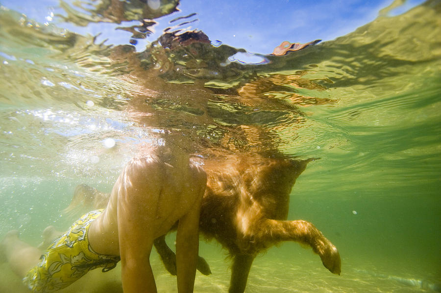 Summer Photograph - Boy Swiming With Dog In Lake, Idaho by Gabe Rogel