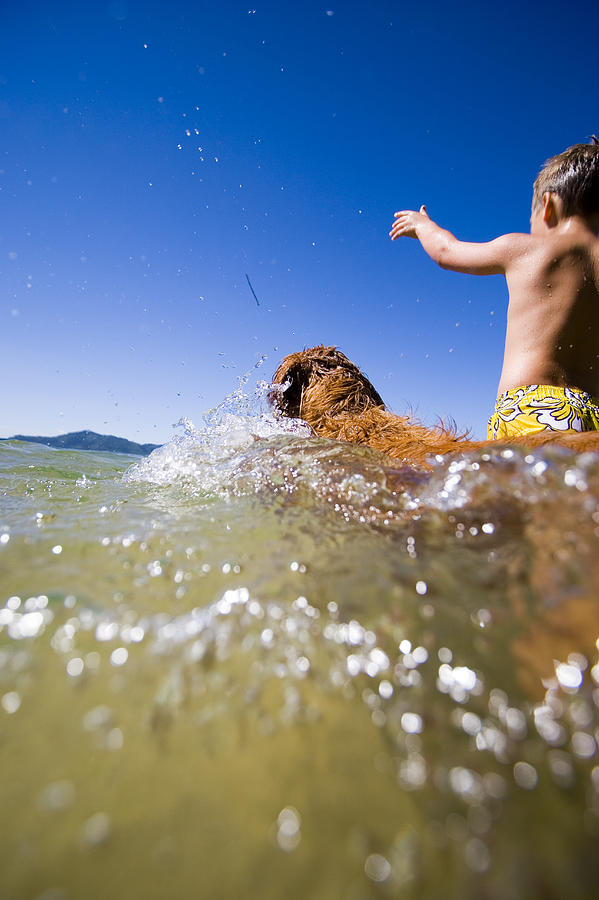 Summer Photograph - Boy Throwing Stick For Dog In Lake by Gabe Rogel