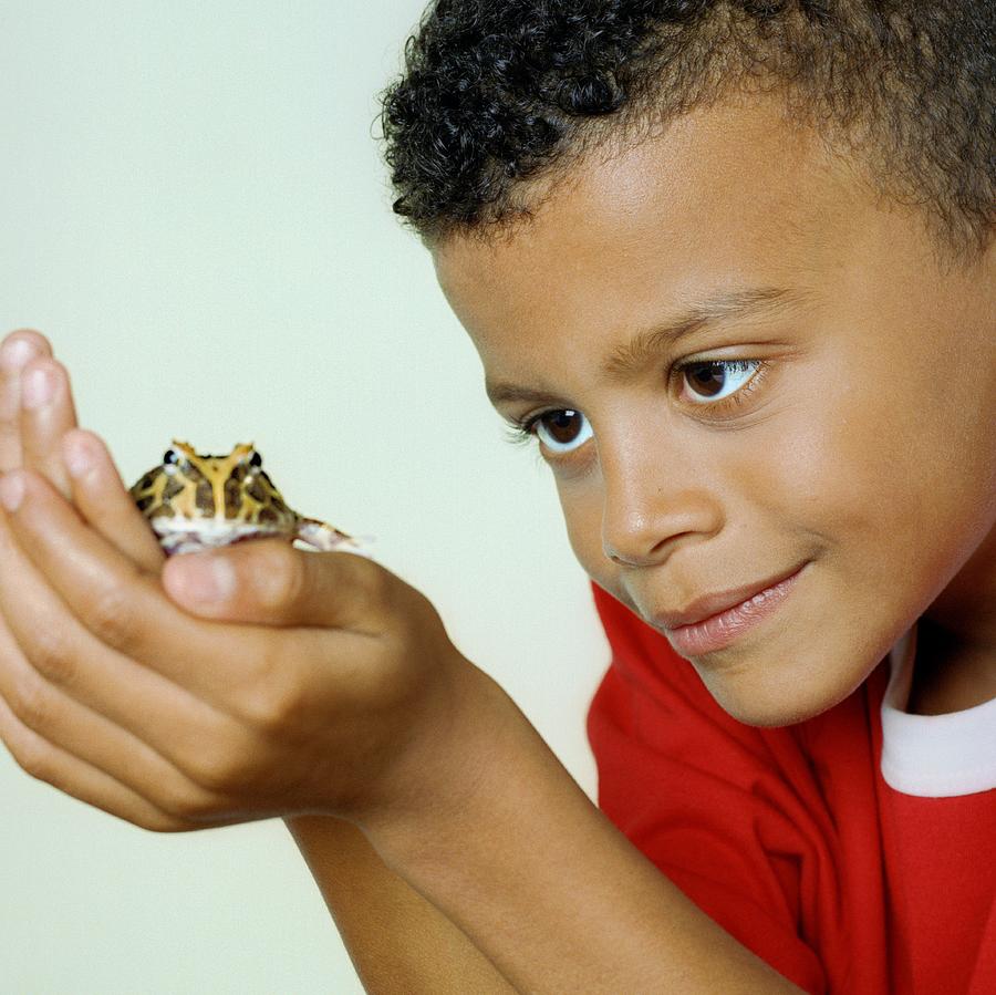 Boy With His Pet Toad Photograph by Science Photo Library Boy With His Pet Toad Photograph by Science Photo Library