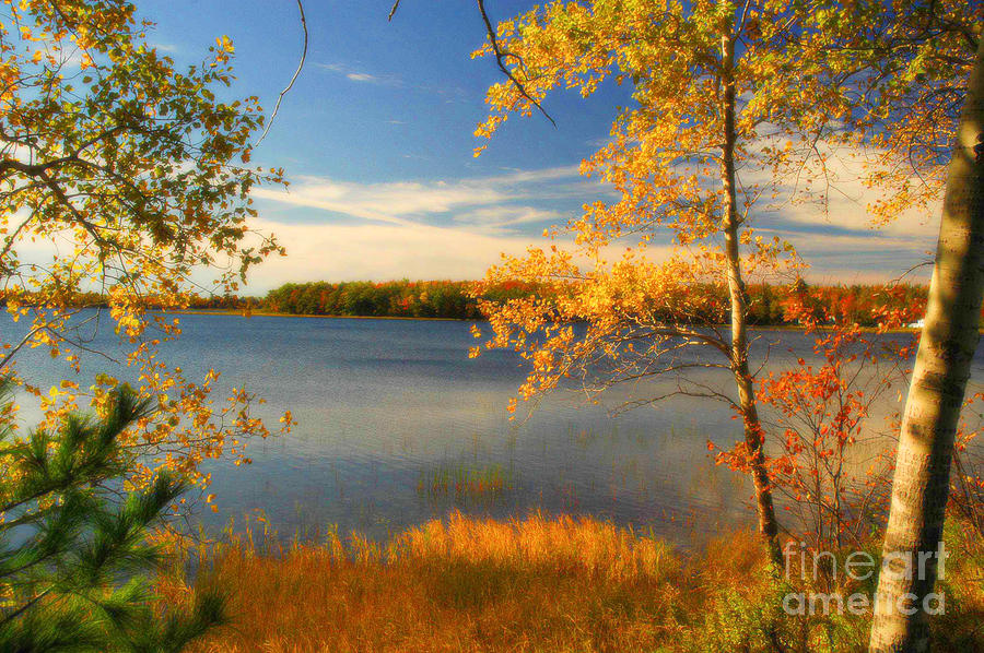 Boyden Lake Photograph by Alana Ranney