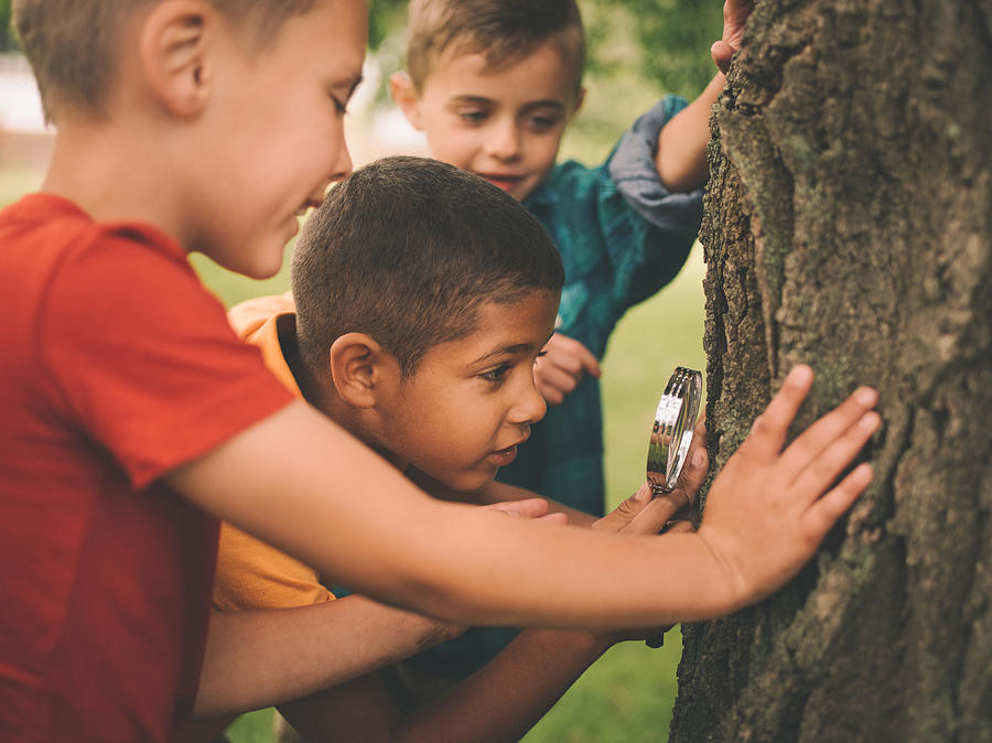 Boys studying a tree trunk with a magnifying glass Photograph by Wundervisuals